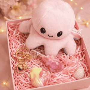 Cute Octopus Plush Toy & Shell Keychain Combo | Gift Set